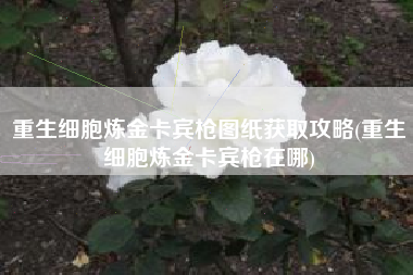 重生细胞炼金卡宾枪图纸获取攻略(重生细胞炼金卡宾枪在哪)