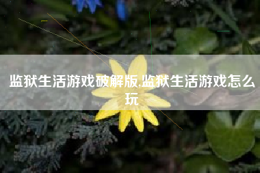 监狱生活游戏破解版,监狱生活游戏怎么玩