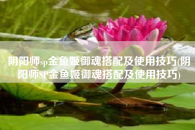 阴阳师sp金鱼姬御魂搭配及使用技巧(阴阳师SP金鱼姬御魂搭配及使用技巧)