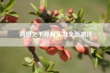 鸿图之下孙权实力全面测评