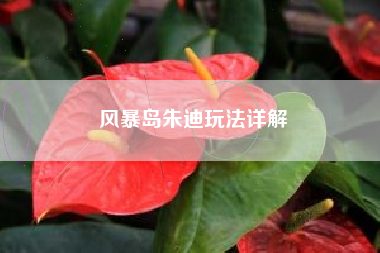 风暴岛朱迪玩法详解