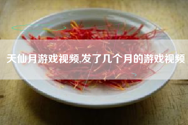 天仙月游戏视频,发了几个月的游戏视频