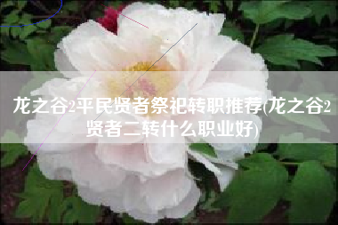 龙之谷2平民贤者祭祀转职推荐(龙之谷2贤者二转什么职业好)