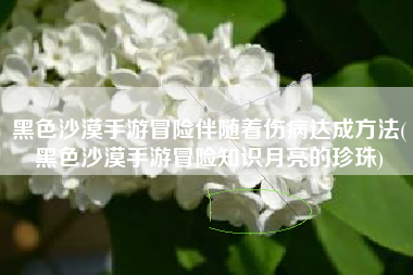 黑色沙漠手游冒险伴随着伤病达成方法(黑色沙漠手游冒险知识月亮的珍珠)