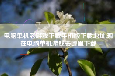 电脑单机老游戏下载手机版下载地址,现在电脑单机游戏去哪里下载