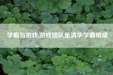 学霸与游戏,游戏团队是清华学霸组成