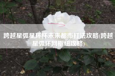 跨越星弧星环杯未来都市打法攻略(跨越星弧环网枢纽攻略)