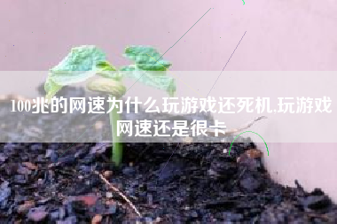 100兆的网速为什么玩游戏还死机,玩游戏网速还是很卡