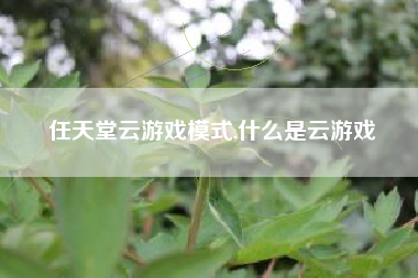 任天堂云游戏模式,什么是云游戏
