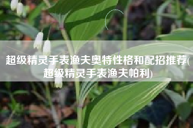 超级精灵手表渔夫奥特性格和配招推荐(超级精灵手表渔夫帕利)