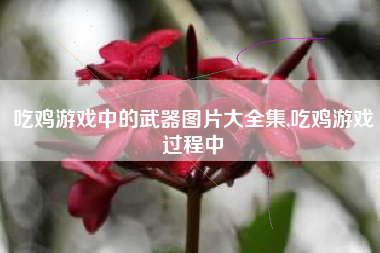 吃鸡游戏中的武器图片大全集,吃鸡游戏过程中