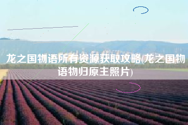 龙之国物语所有资源获取攻略(龙之国物语物归原主照片)