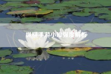 纵横手游小唯强度解析