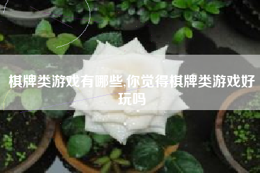 棋牌类游戏有哪些,你觉得棋牌类游戏好玩吗