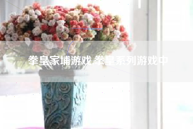拳皇家埔游戏,拳皇系列游戏中