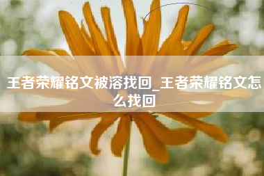 王者荣耀铭文被溶找回_王者荣耀铭文怎么找回