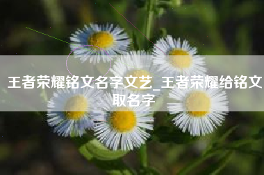 王者荣耀铭文名字文艺_王者荣耀给铭文取名字