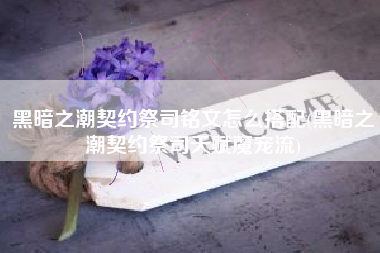 黑暗之潮契约祭司铭文怎么搭配(黑暗之潮契约祭司天赋魔宠流)