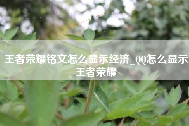 王者荣耀铭文怎么显示经济_QQ怎么显示王者荣耀