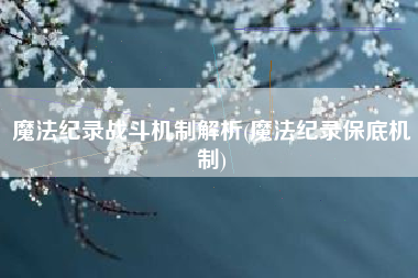 魔法纪录战斗机制解析(魔法纪录保底机制)