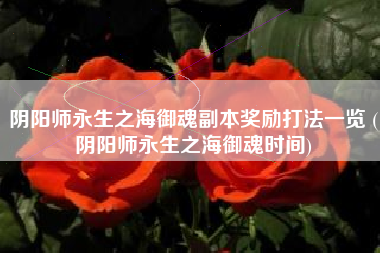 阴阳师永生之海御魂副本奖励打法一览 (阴阳师永生之海御魂时间)