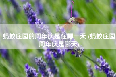 蚂蚁庄园的周年庆是在哪一天 (蚂蚁庄园周年庆是哪天)