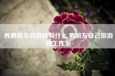 养男朋友的游戏叫什么,男朋友自己做游戏工作室
