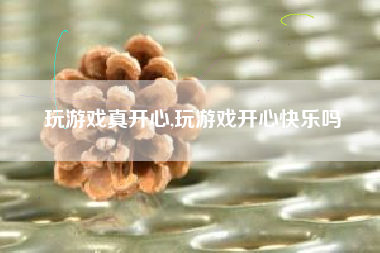 玩游戏真开心,玩游戏开心快乐吗