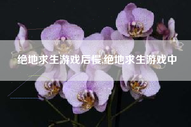 绝地求生游戏后慢,绝地求生游戏中