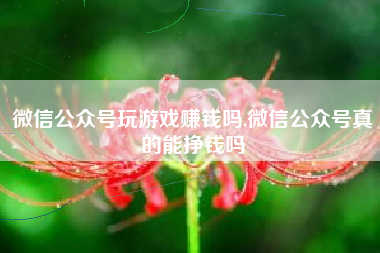 微信公众号玩游戏赚钱吗,微信公众号真的能挣钱吗