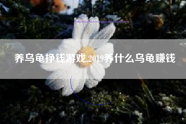 养乌龟挣钱游戏,2019养什么乌龟赚钱