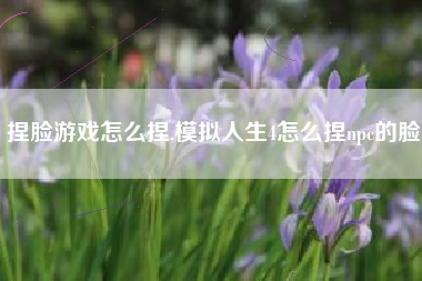 捏脸游戏怎么捏,模拟人生4怎么捏npc的脸