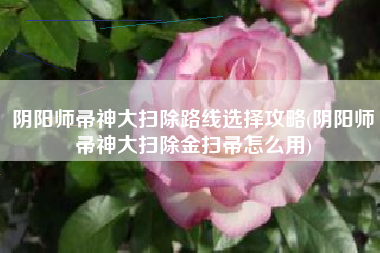阴阳师帚神大扫除路线选择攻略(阴阳师帚神大扫除金扫帚怎么用)