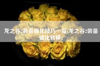 龙之谷2装备强化技巧一览(龙之谷2装备强化转移)