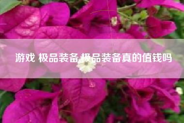 游戏 极品装备,极品装备真的值钱吗