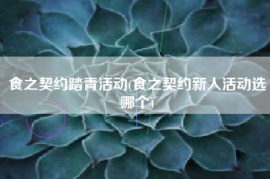 食之契约踏青活动(食之契约新人活动选哪个)