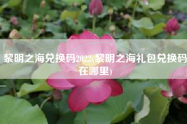 黎明之海兑换码2022(黎明之海礼包兑换码在哪里)
