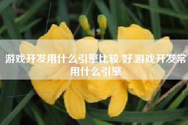 游戏开发用什么引擎比较 好,游戏开发常用什么引擎