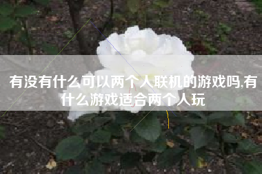 有没有什么可以两个人联机的游戏吗,有什么游戏适合两个人玩