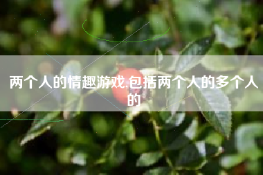 两个人的情趣游戏,包括两个人的多个人的