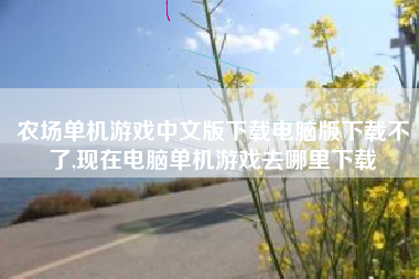 农场单机游戏中文版下载电脑版下载不了,现在电脑单机游戏去哪里下载