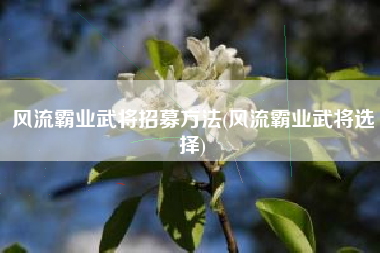 风流霸业武将招募方法(风流霸业武将选择)