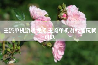 主流单机游戏视频,主流单机游戏能玩就可以