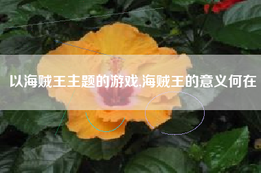 以海贼王主题的游戏,海贼王的意义何在