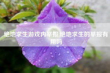 绝地求生游戏内举报,绝地求生的举报有用吗