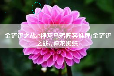 金铲铲之战s7神龙乌鸦阵容推荐(金铲铲之战s7神龙蜘蛛)