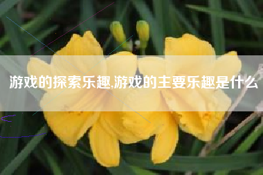 游戏的探索乐趣,游戏的主要乐趣是什么