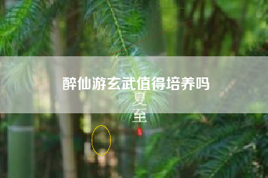 醉仙游玄武值得培养吗