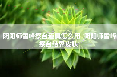 阴阳师雪峰祭台道具怎么用 (阴阳师雪峰祭台结界皮肤)