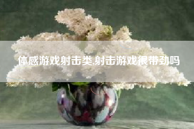体感游戏射击类,射击游戏很带劲吗
